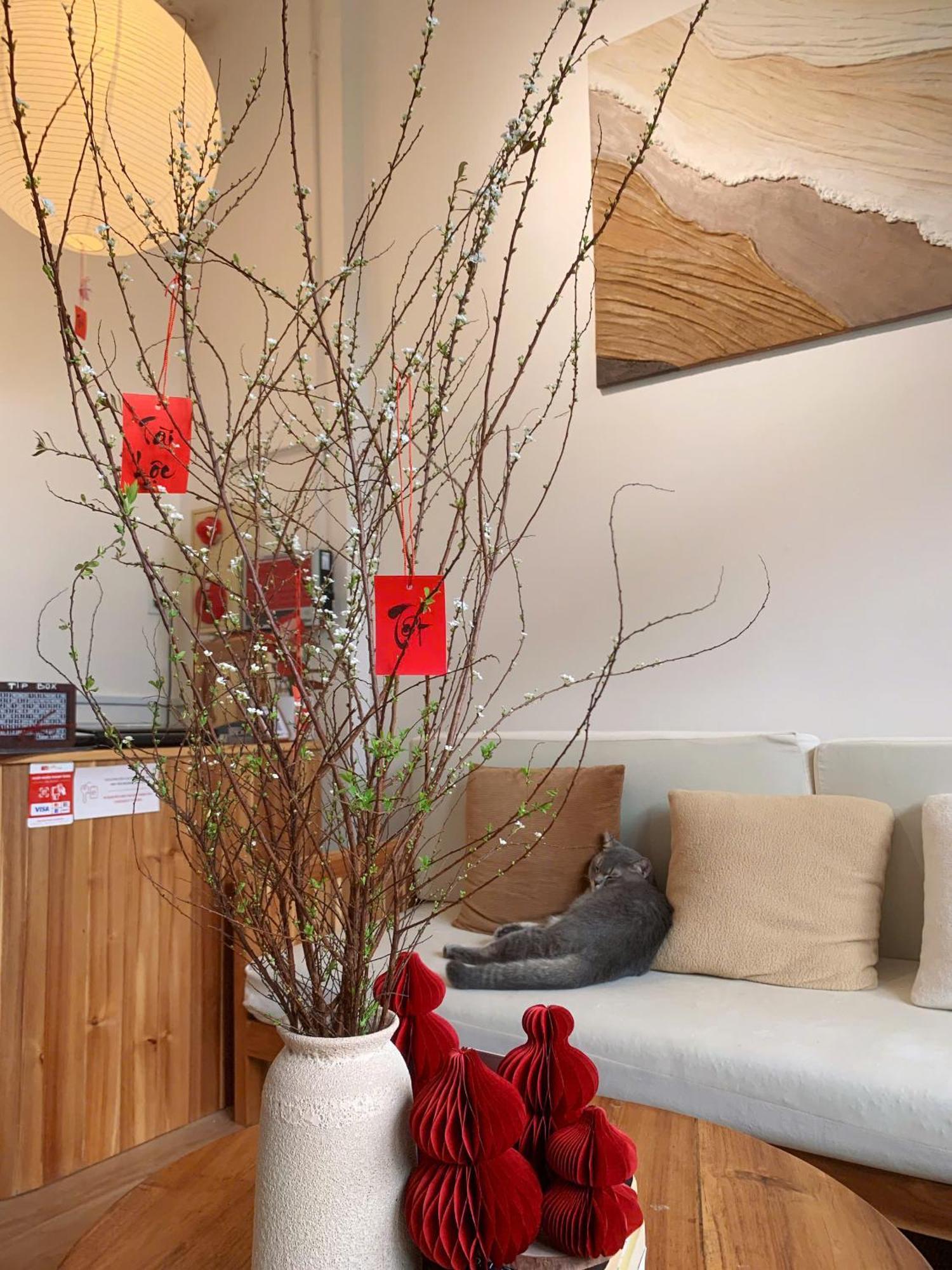 Glory Hue Homestay Extérieur photo
