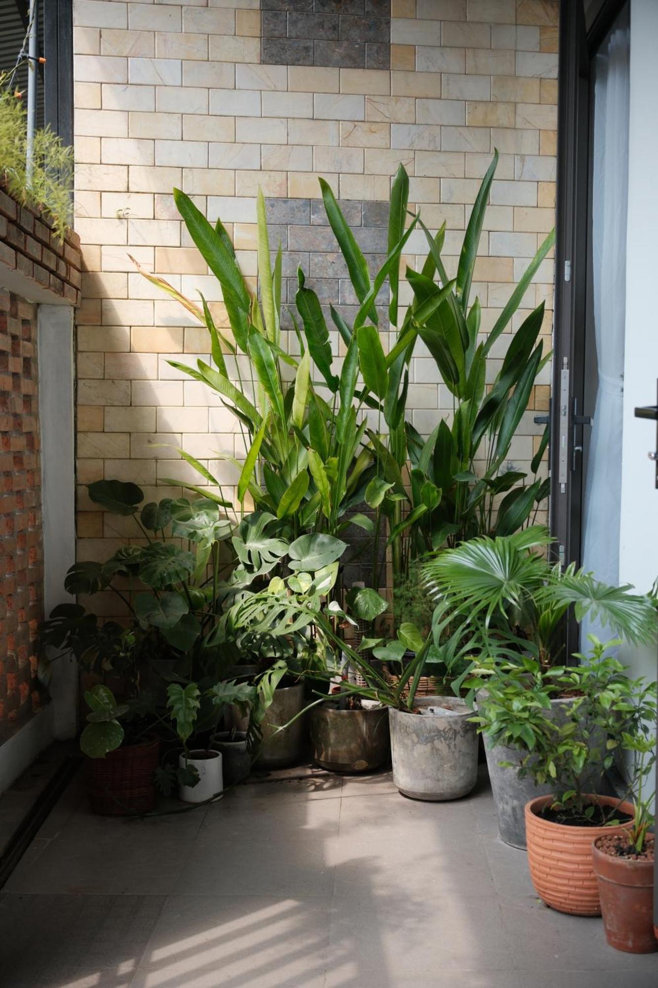 Glory Hue Homestay Extérieur photo