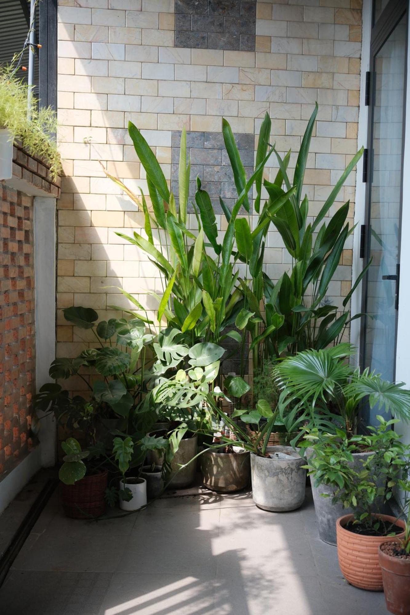 Glory Hue Homestay Extérieur photo