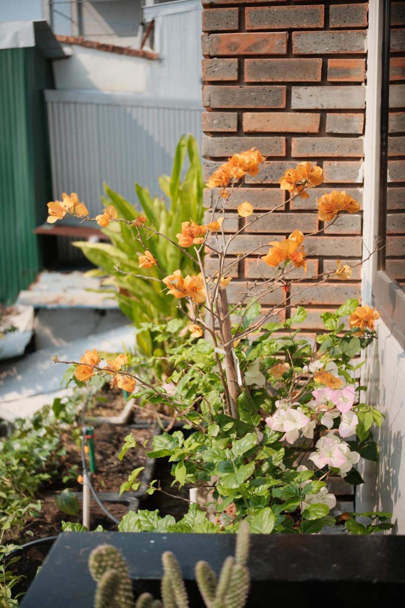 Glory Hue Homestay Extérieur photo